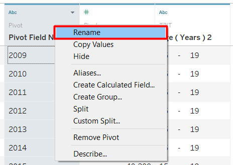 Figure 11. Rename Columns